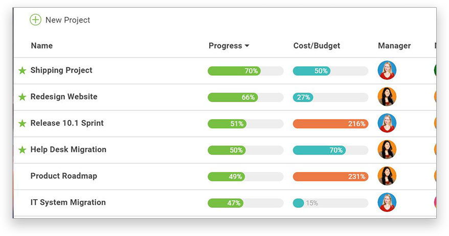 IT project plan template, one of many to get you started planning a project
