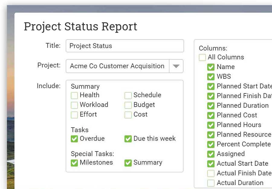 A screenshot of a report in ProjectManager.com