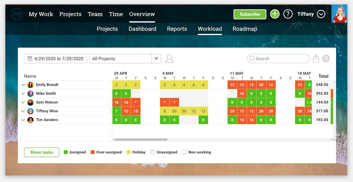 Workload chart showing balance of tasks across team