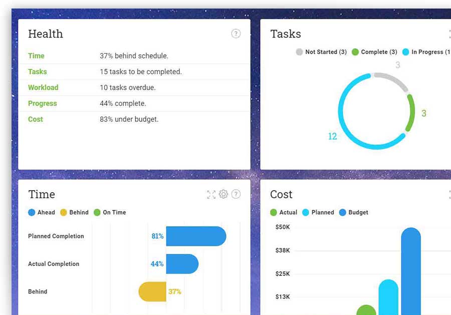 A screenshot of a dashboard in ProjectManager.com