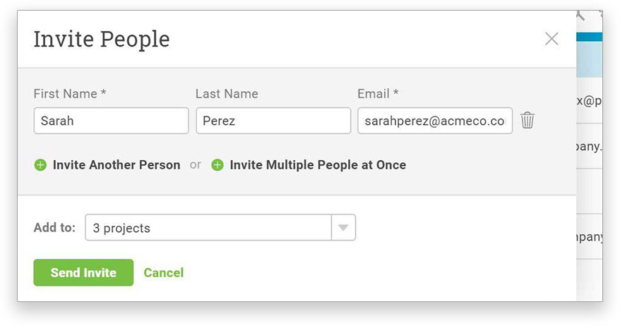 A screenshot of ProjectManager.com’s invite people window, with options to invite your team