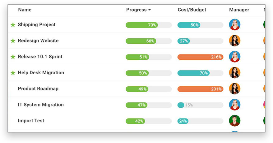 List of projects, progress, cost/budget, manager and team members