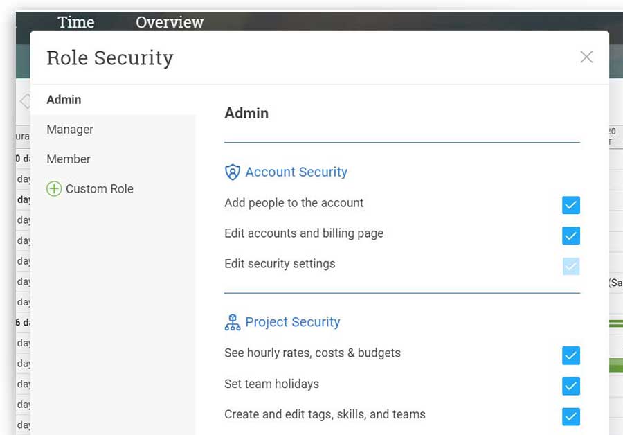 A screenshot of the Role Security options in ProjectManager.com