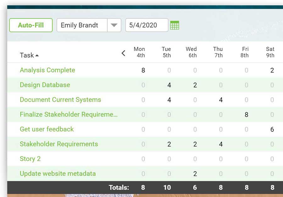 A screenshot of a timesheet in ProjectManager.com