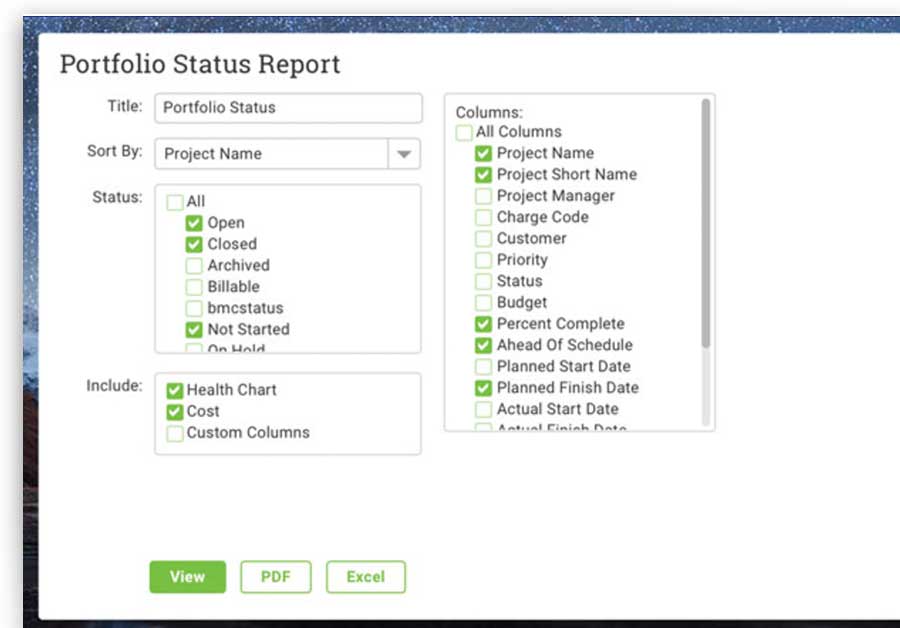 A screenshot of ProjectManager.com’s report settings