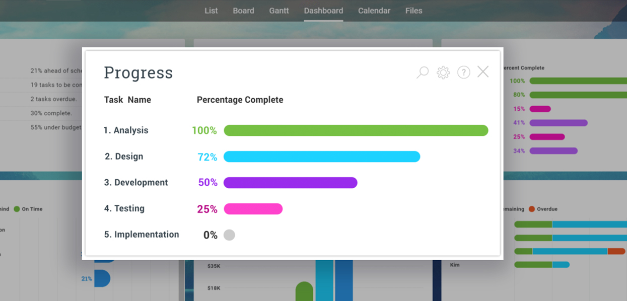 ProjectManager.com Progress bars