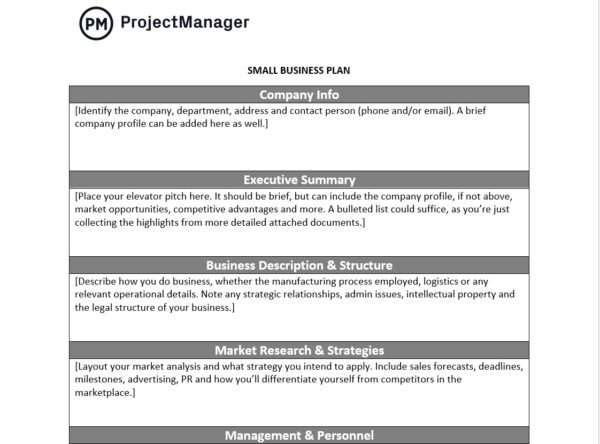 ProjectManager's free small business plan template
