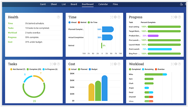 Project time, tasks, progress, cost and workload dashboard