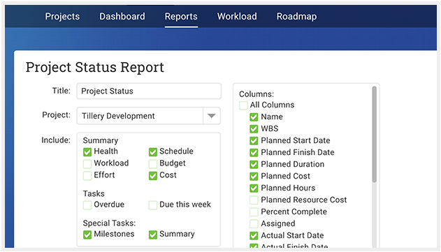 project status report features