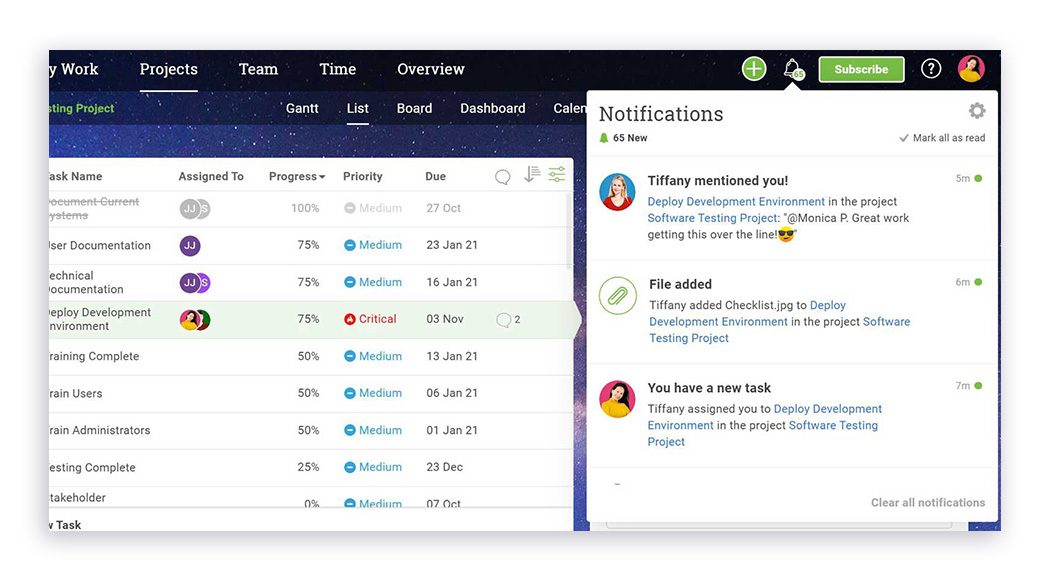 A screenshot of a notification in ProjectManager.com, activated by a comment a team member made on a task