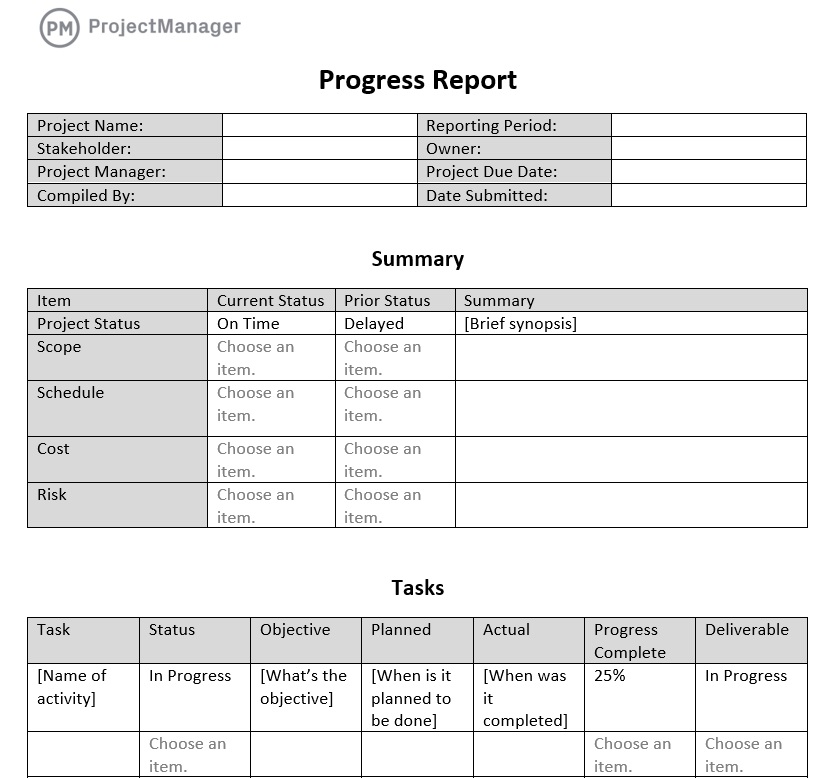 ProjectManager's progress report template for Excel