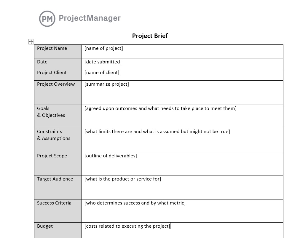 Project brief template in ProjectManager