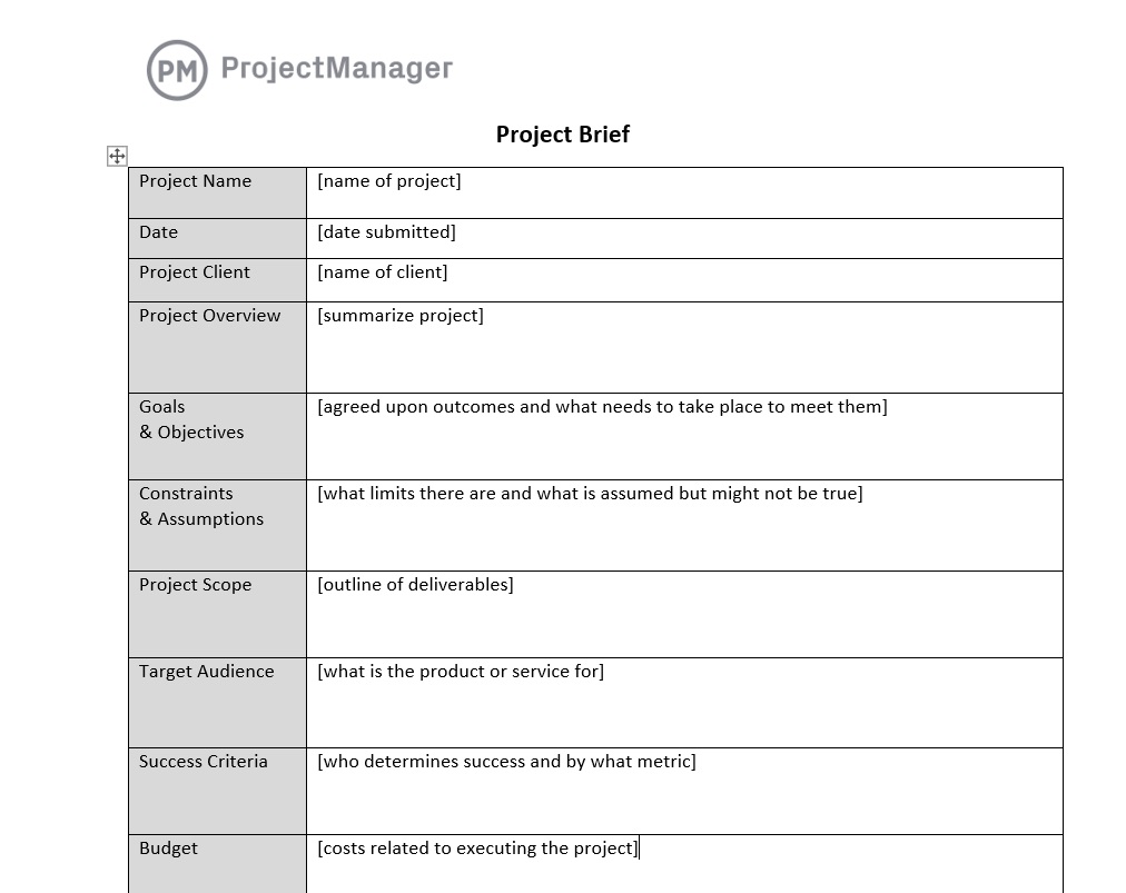 2022 Project Brief Template Fillable Printable Pdf Amp Forms Handypdf 