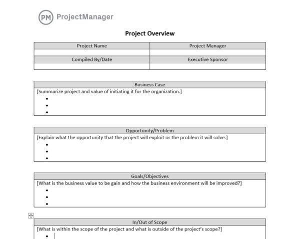 ProjectManager's free project overview template for Word