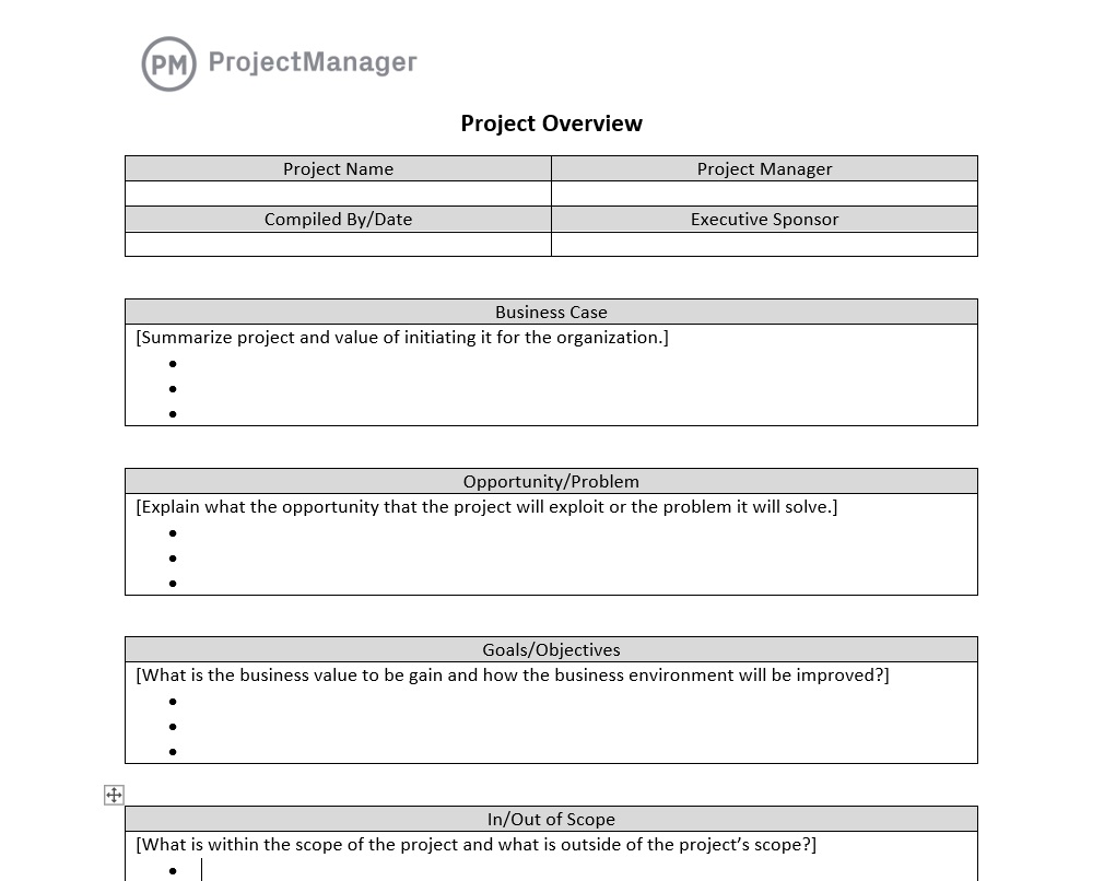 Project overview template in ProjectManager