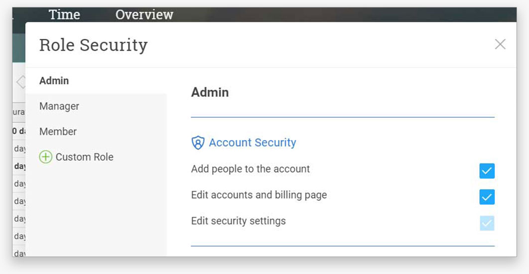 a screenshot of the role security window in ProjectManager.com