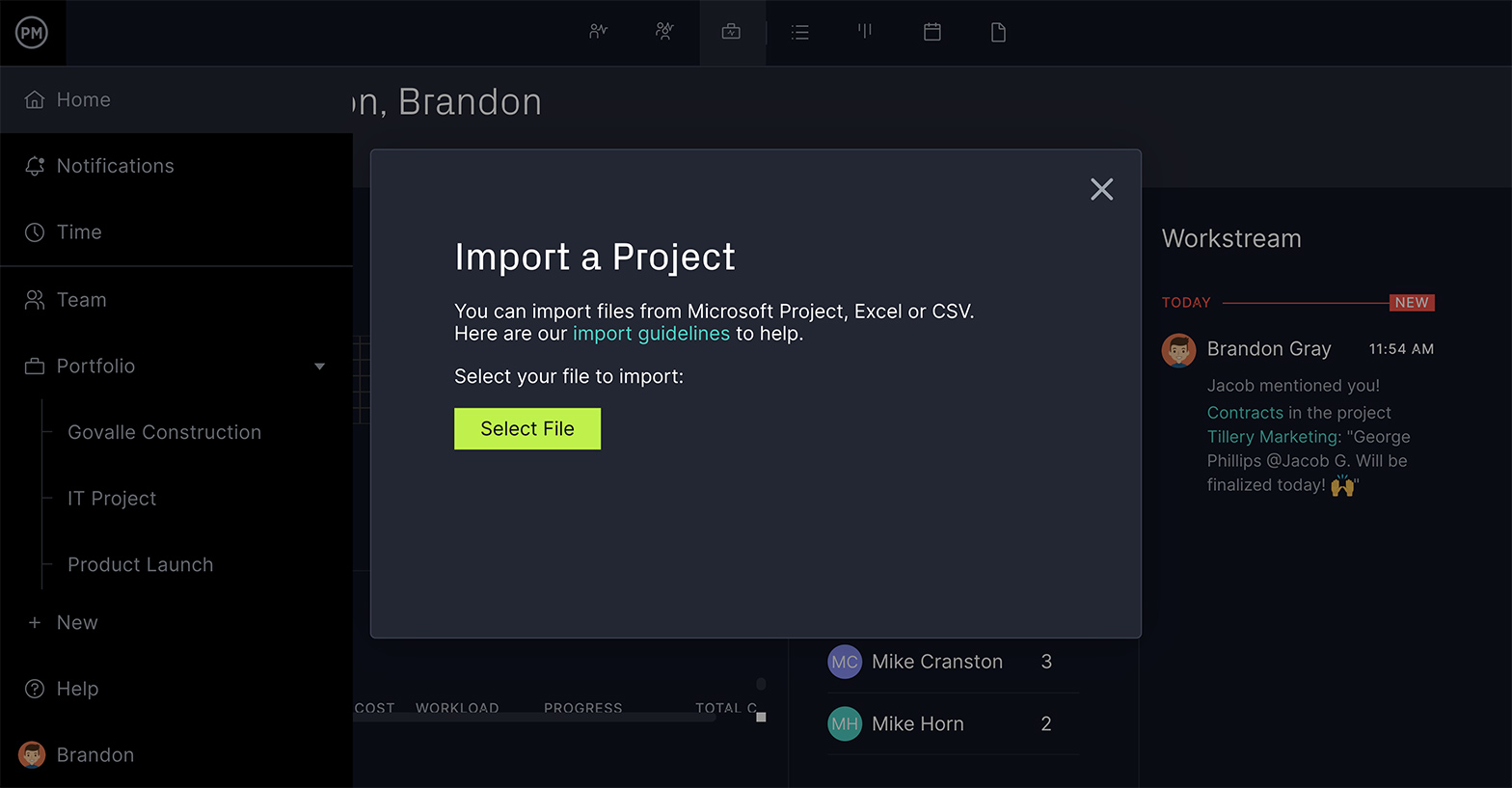 A screenshot of the Gantt Import popup on the Gantt chart in ProjectManager