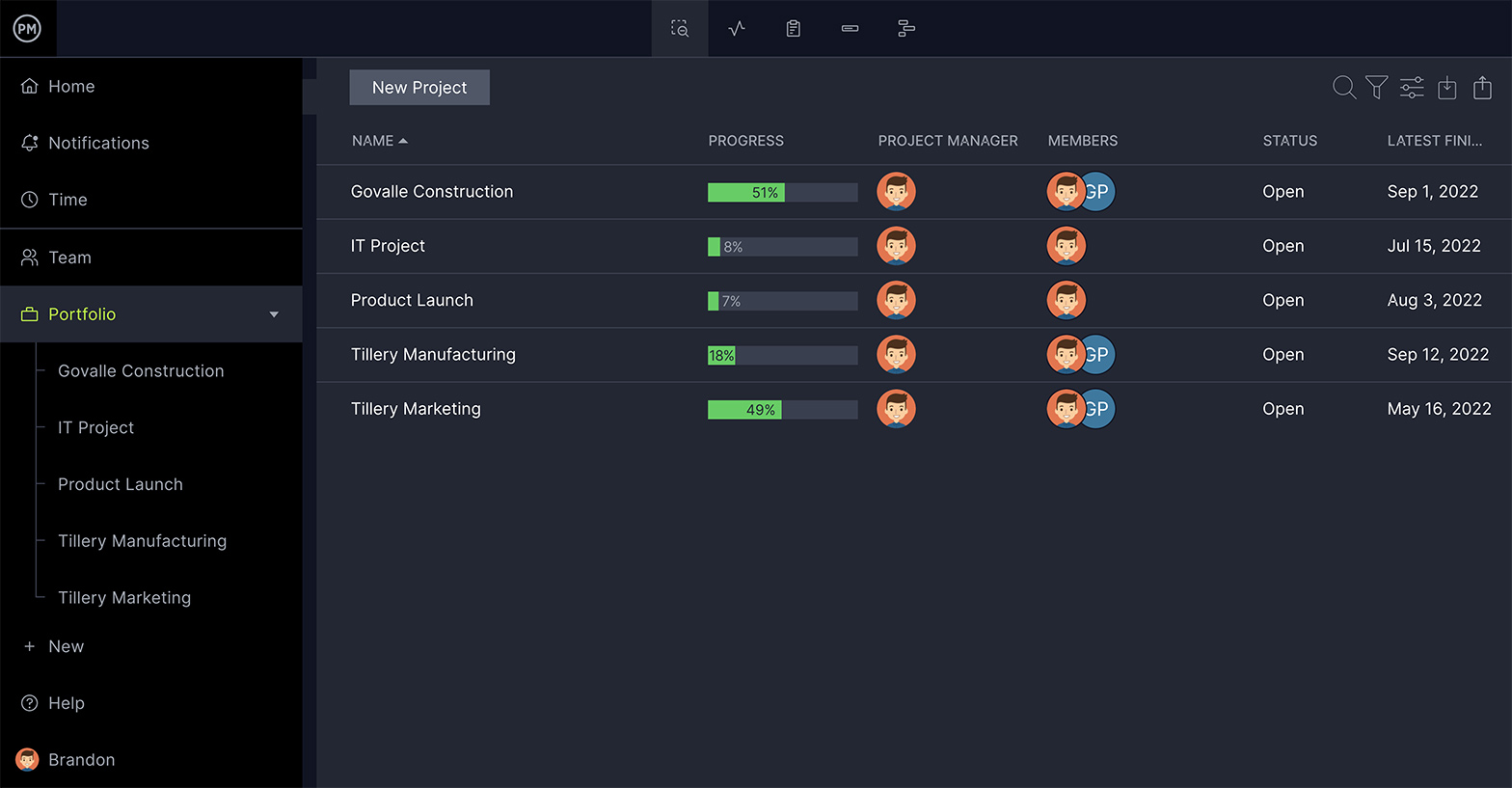 A screenshot of ProjectManager’s project portfolio management tool, which displays multiple projects at once