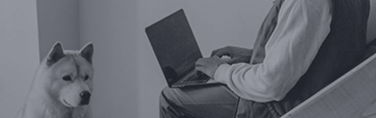 Create your own project management template featured image