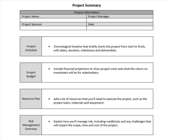 free project summary template