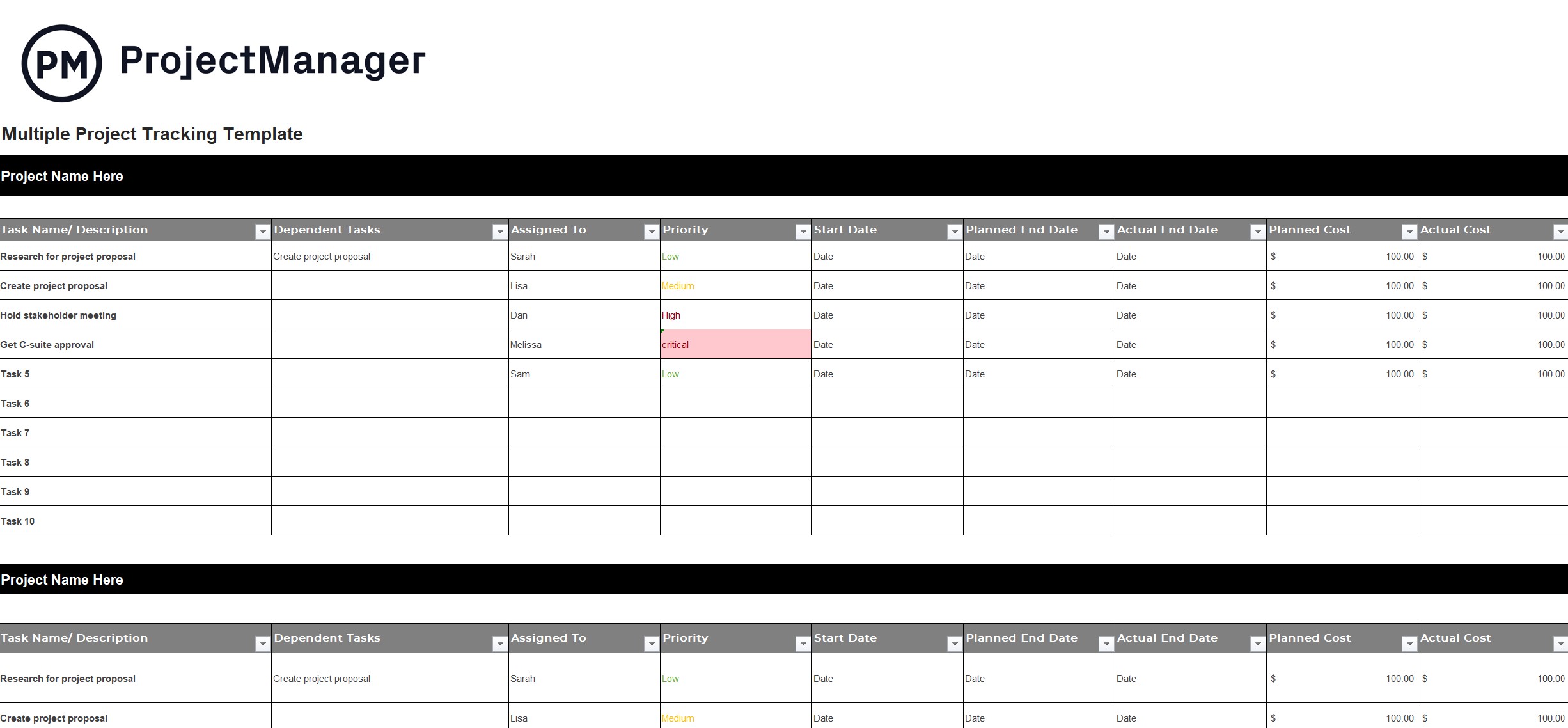 Multiple Project Tracking Template Projectmanager