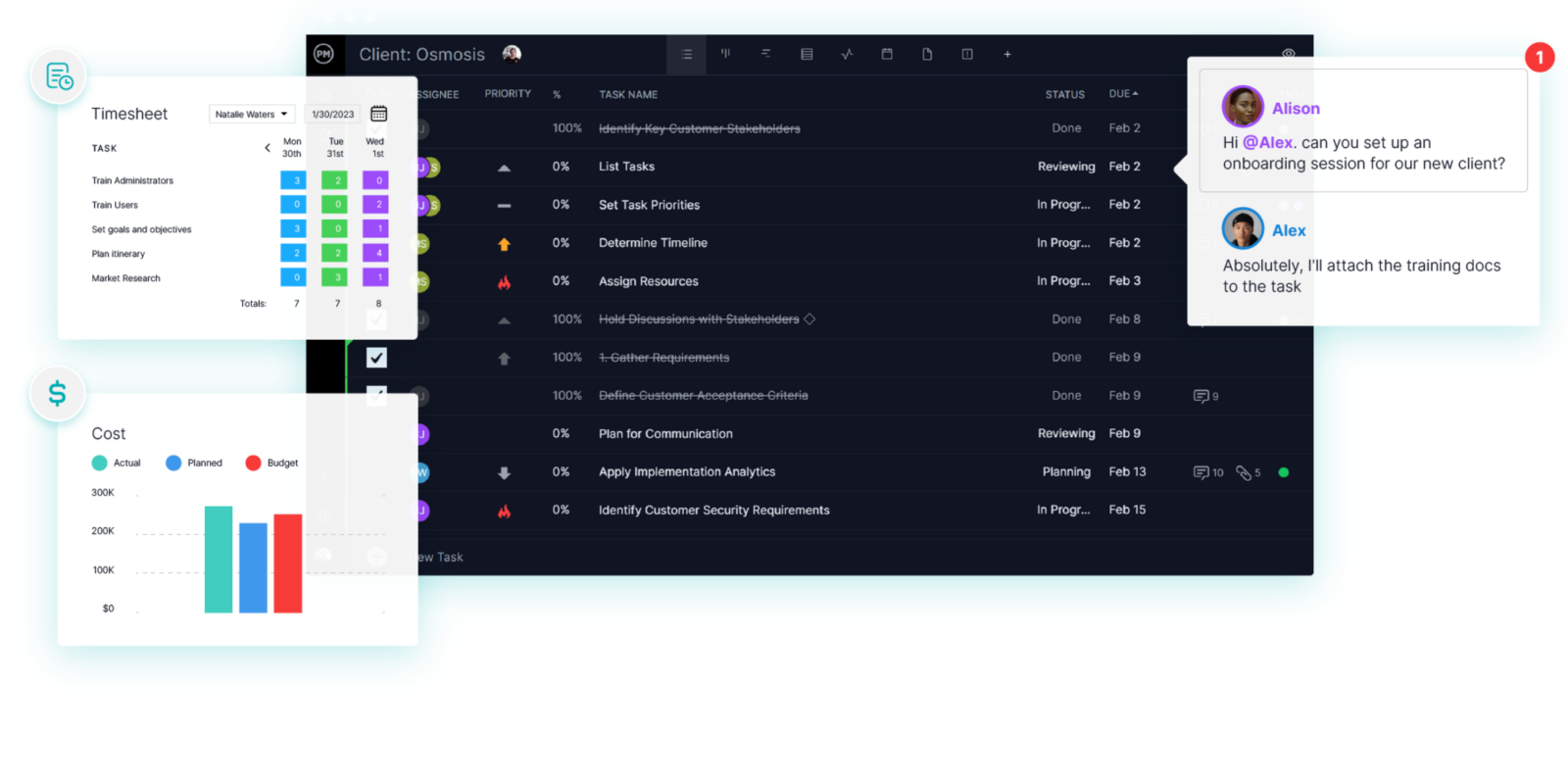 Professional services project management software - ProjectManager