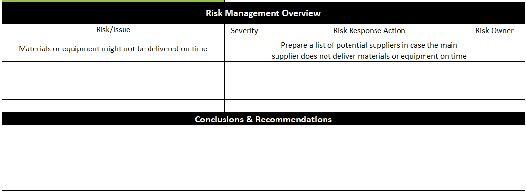 project status report example, showing risk management overview