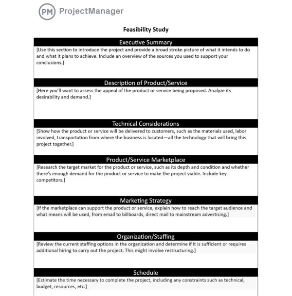 Free feasibility study template