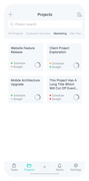 Project Management Apps – ProjectManager