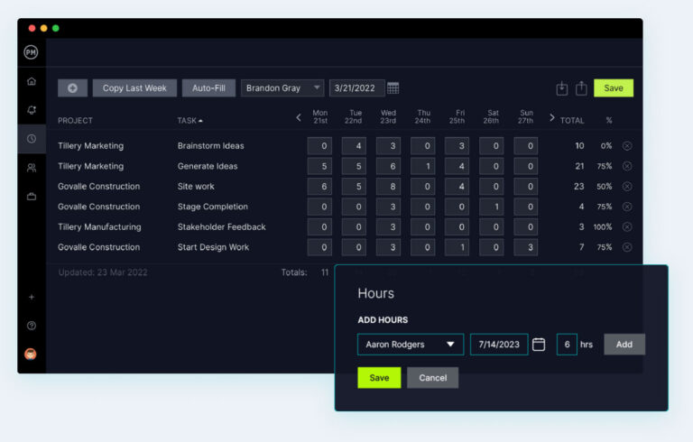 Project Manager Timesheet Interface Online Project Management Tools - ProjectManager