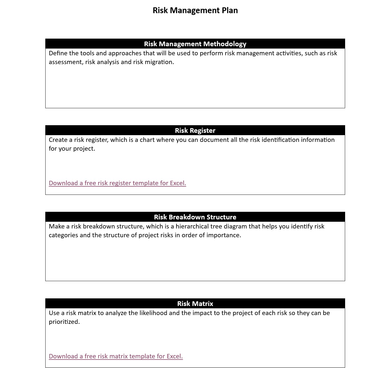 small business risk management plan template