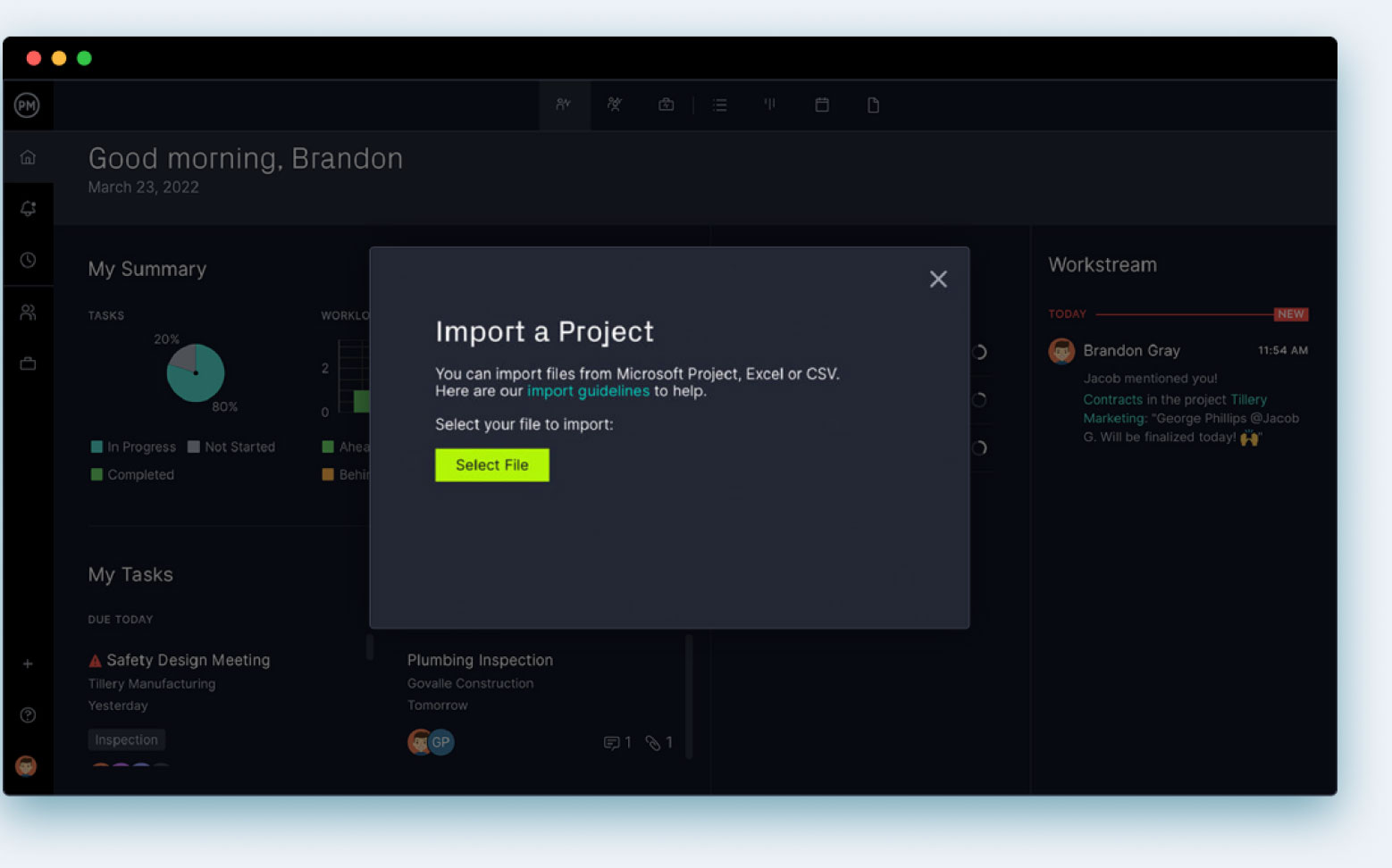 ProjectManager's file import pop up showing on the project planning software screen