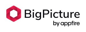 BigPicture logo