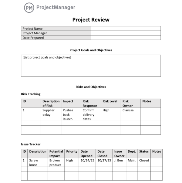 Project review template