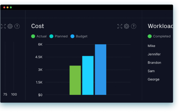 Project budget tracking, ProjectManager dashboard