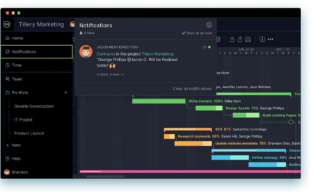 Product Management Software - ProjectManager