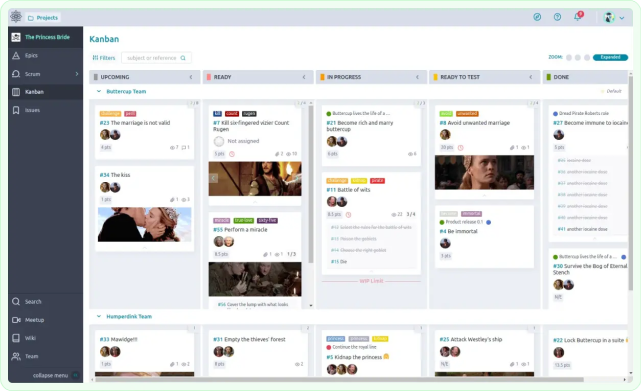 taiga software screenshot