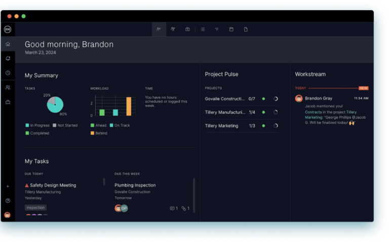 Program Management Tools - Manage Programs Online ProjectManager