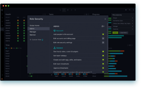 Program Management Tools - Manage Programs Online ProjectManager