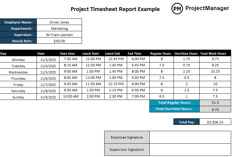 Project report example of a project timesheet