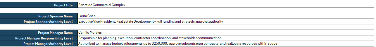 Project chart template for Excel project name, project sponor, authority level, project manager, responsibility level and authority level