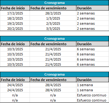 Ejemplo de cronograma del plan de acción