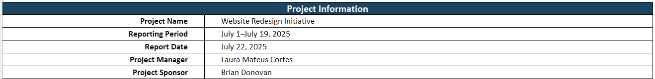 Project update template, project info