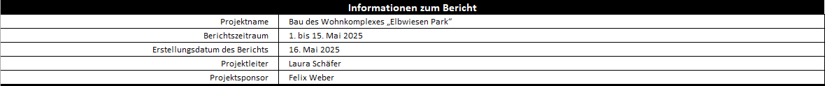 Projektstatusbericht – allgemeine Projektinformationen