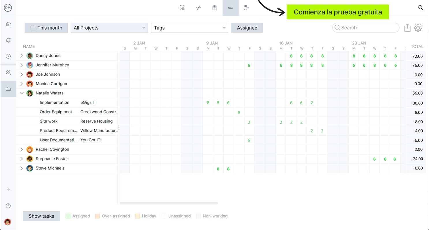 Gráfico de carga de trabajo en ProjectManager