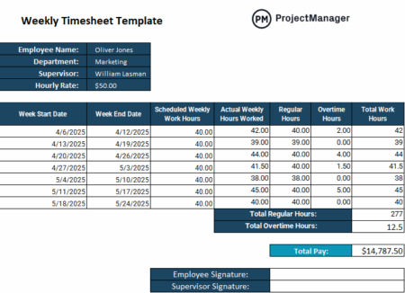 9 Free Timesheet Templates for Excel, Google Sheets & Word - ProjectManager