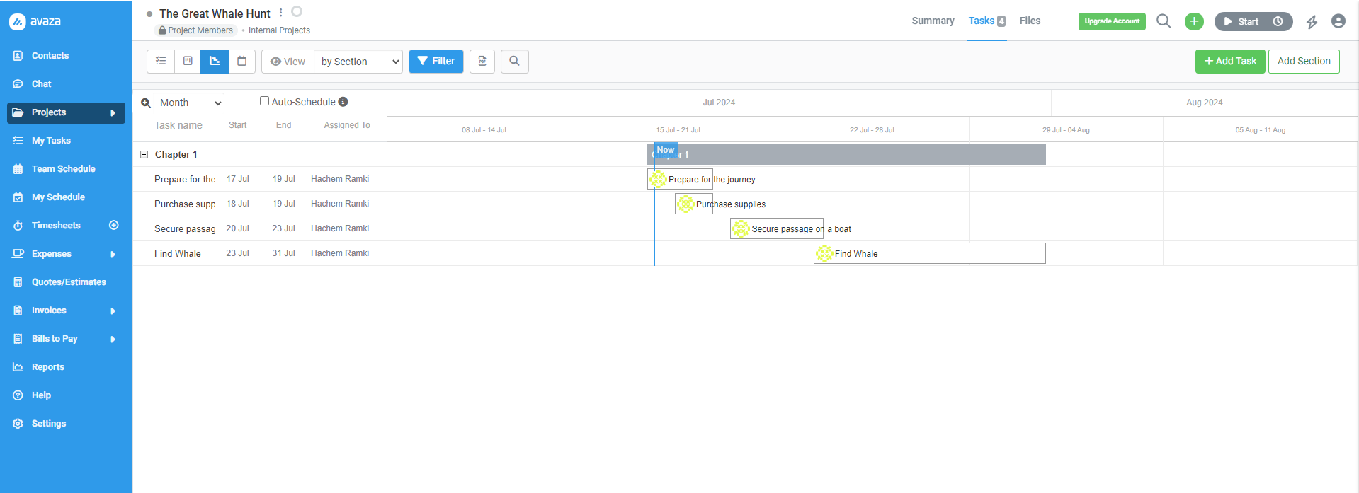 Gantt chart software, Avaza screenshot