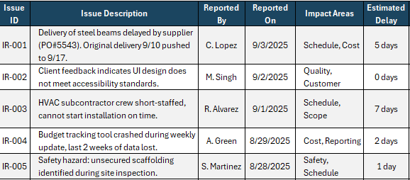 Issue report example, 2