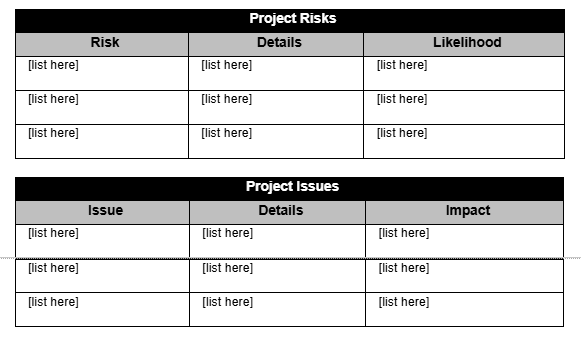 Project proposal for Google Docs, risks and issues