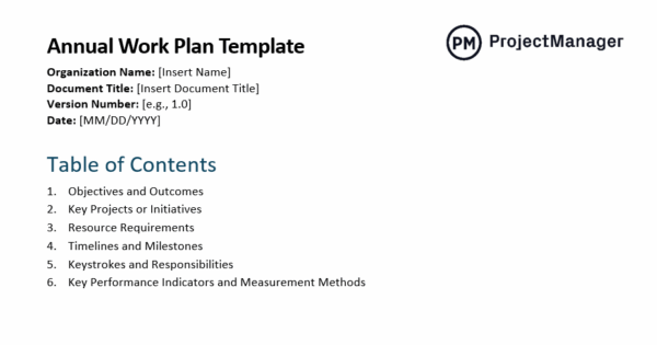 Annual work plan template